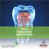 DHA Endodontics Exam Practice